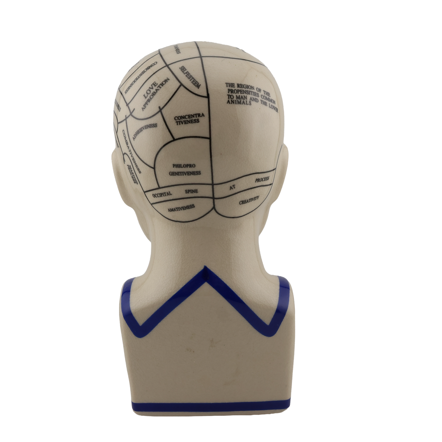 Vintage Phrenology Bust “The Human Mind” Educational Head