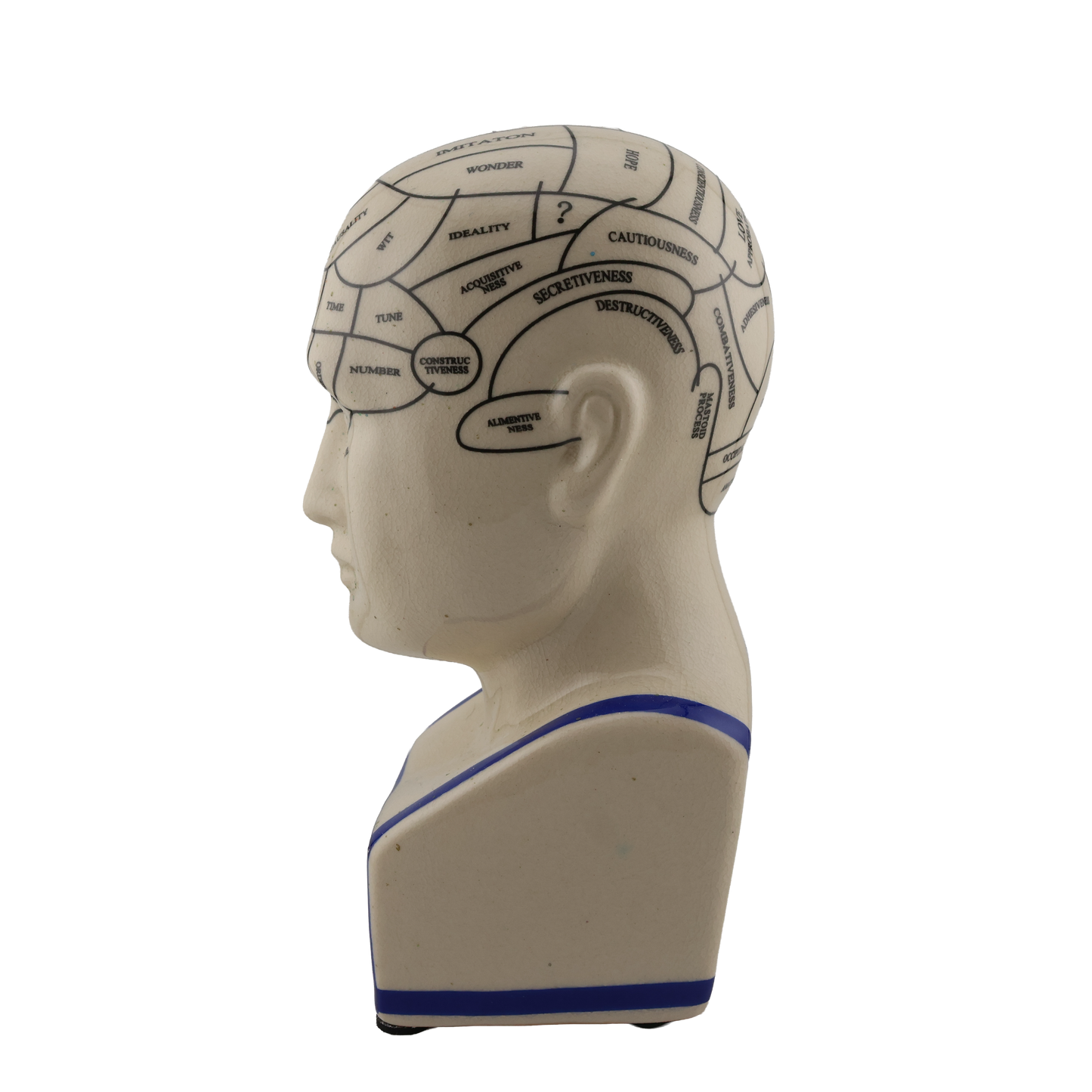 Vintage Phrenology Bust “The Human Mind” Educational Head