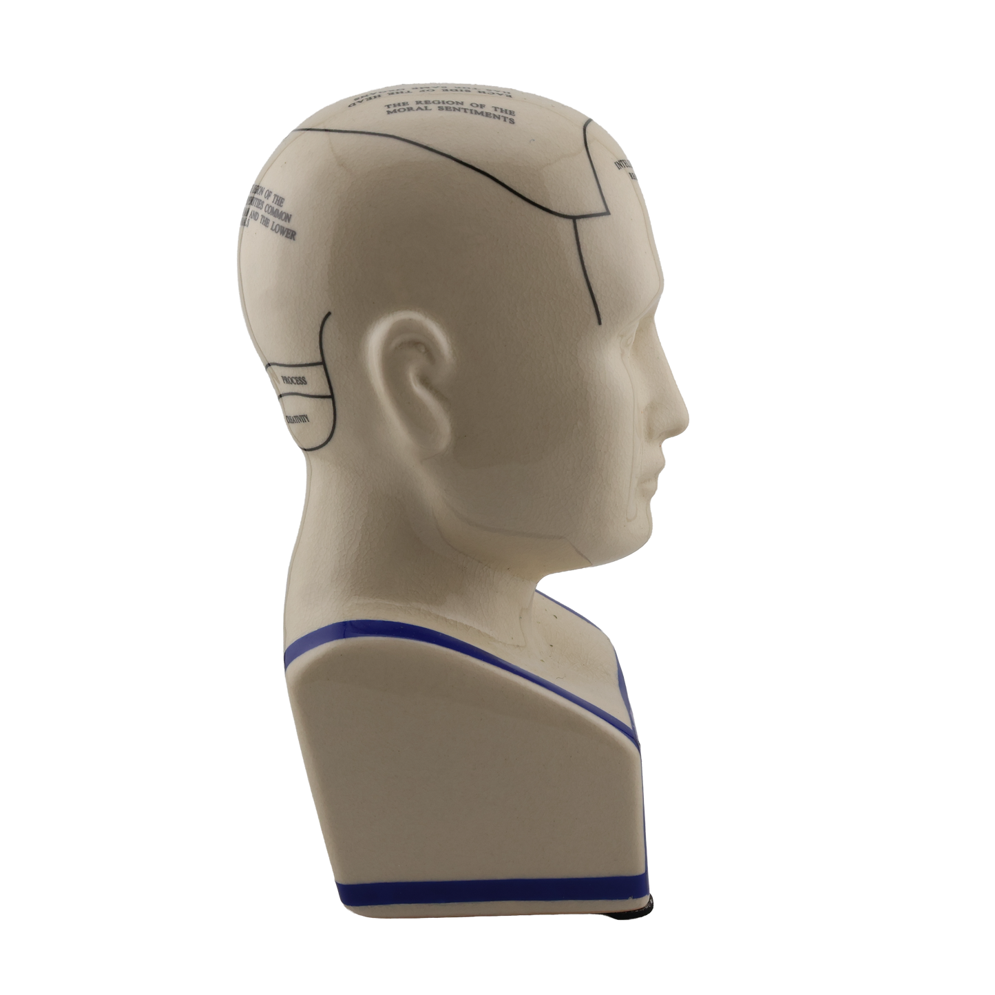 Vintage Phrenology Bust “The Human Mind” Educational Head